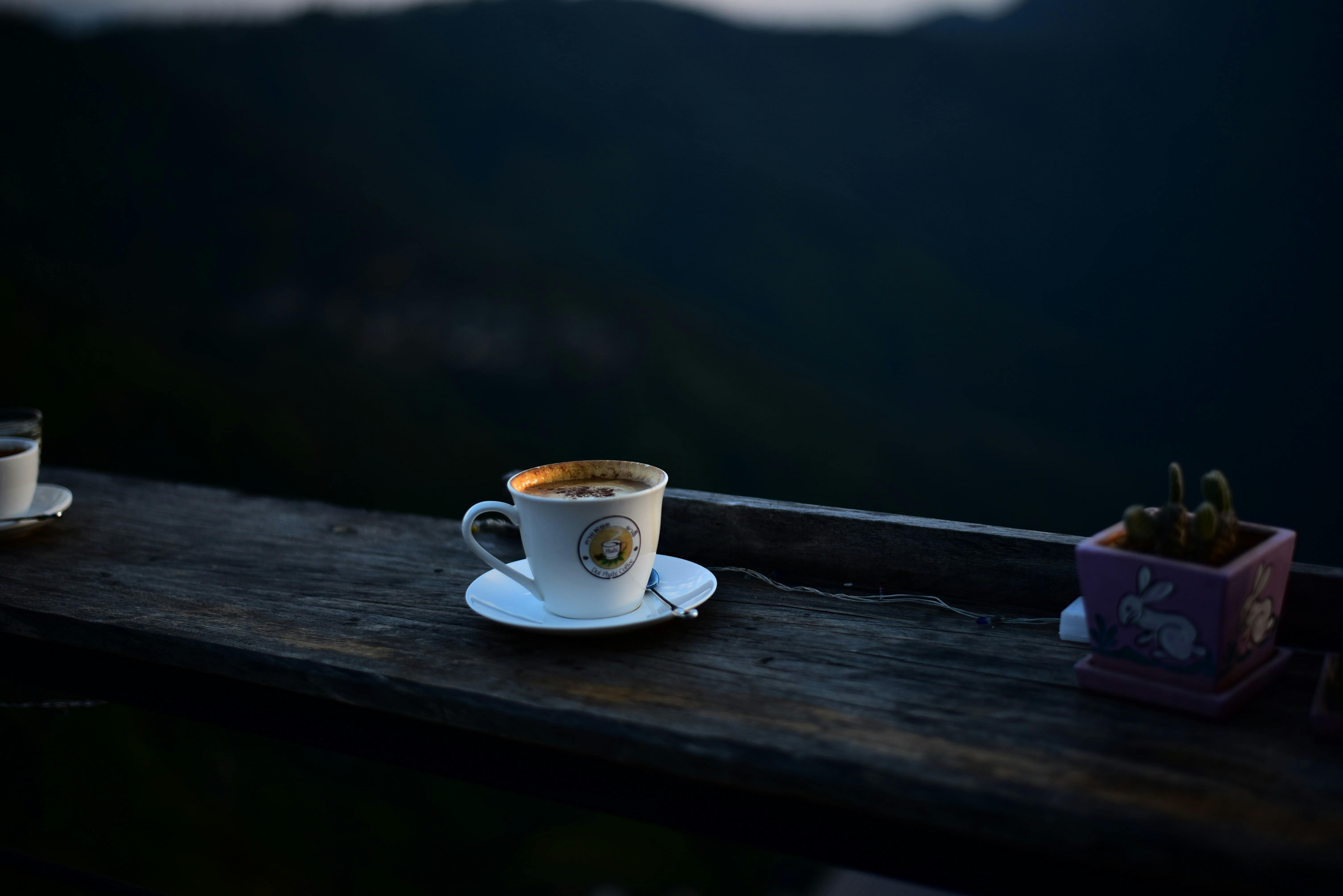 Ruta del Café y la Niebla